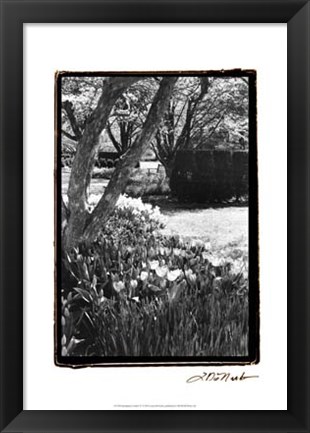 Framed Springtime Garden IV Print