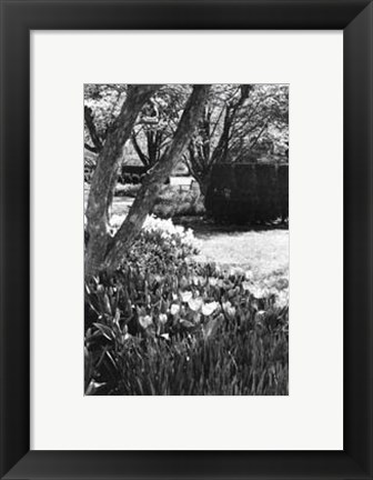 Framed Springtime Garden IV Print