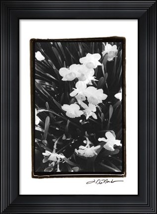 Framed Springtime Garden V Print
