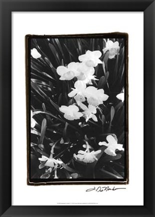 Framed Springtime Garden V Print