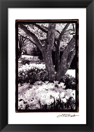 Framed Springtime Garden VI Print