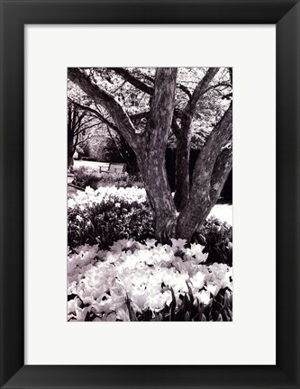 Framed Springtime Garden VI Print