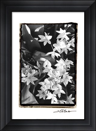 Framed Springtime Garden VII Print