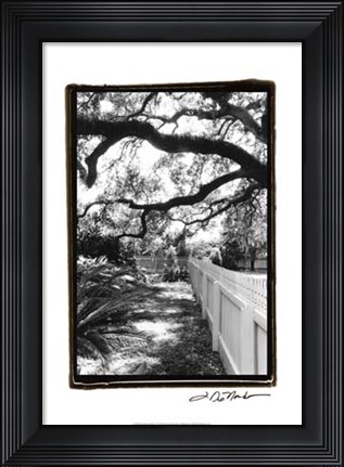 Framed Summer Shade I Print