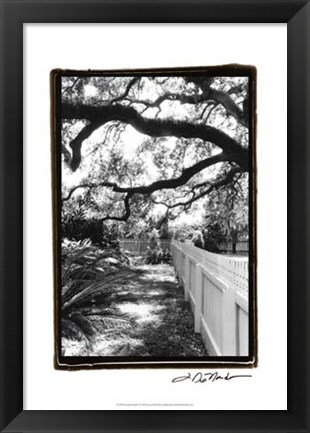 Framed Summer Shade I Print