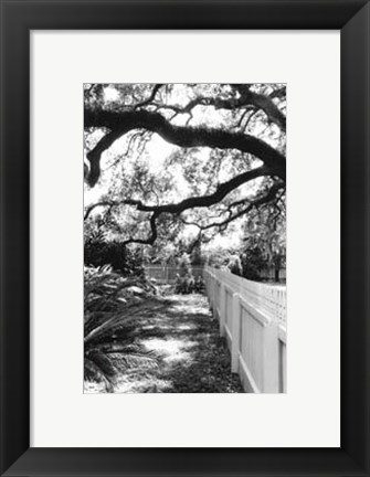 Framed Summer Shade I Print