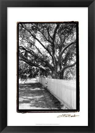 Framed Summer Shade II Print