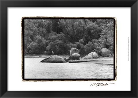 Framed Serene Lake II Print