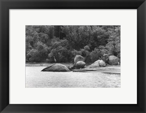 Framed Serene Lake II Print