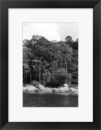 Framed Serene Lake IV Print
