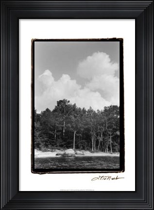 Framed Serene Lake V Print