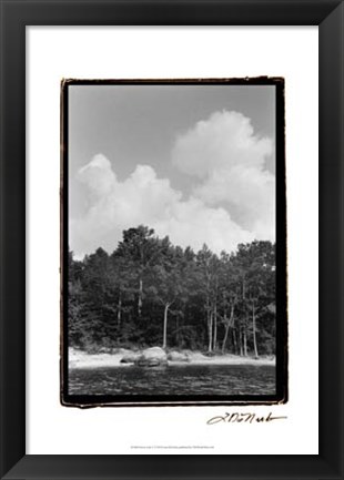Framed Serene Lake V Print