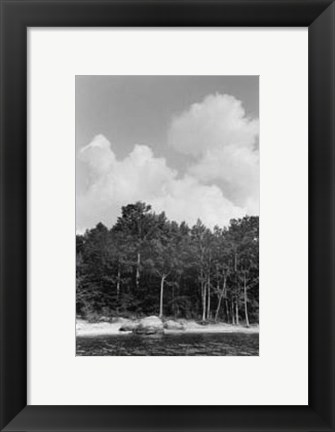 Framed Serene Lake V Print