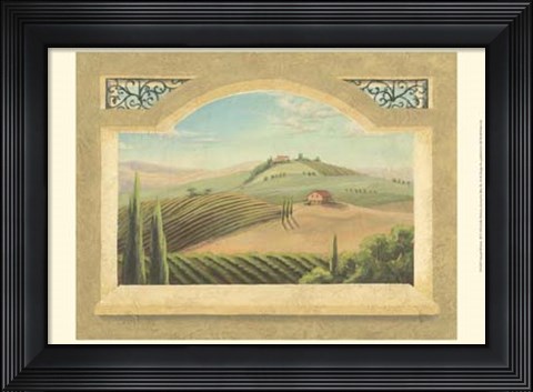 Framed Vineyard Window III Print