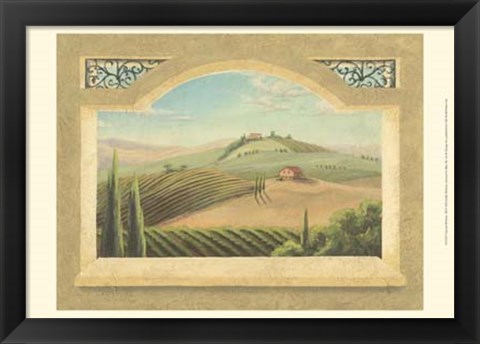 Framed Vineyard Window III Print