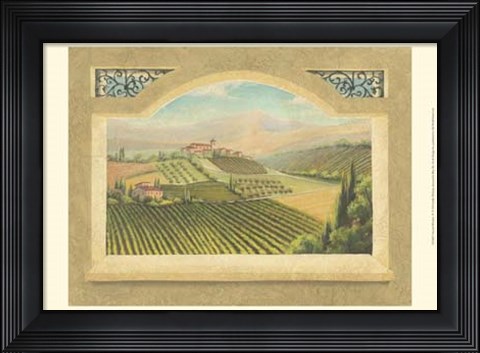 Framed Vineyard Window IV Print