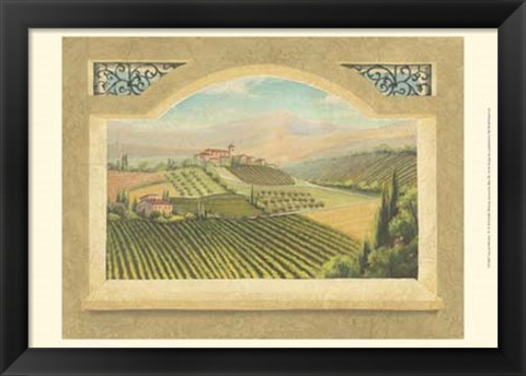 Framed Vineyard Window IV Print