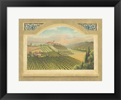 Framed Vineyard Window IV Print