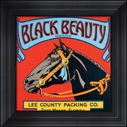 Framed Black Beauty Print
