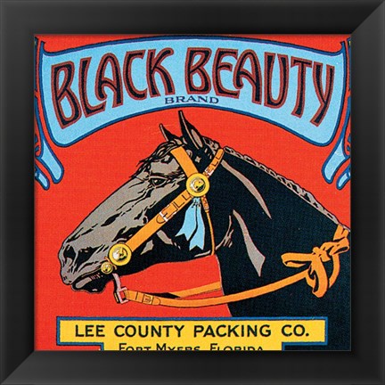 Framed Black Beauty Print