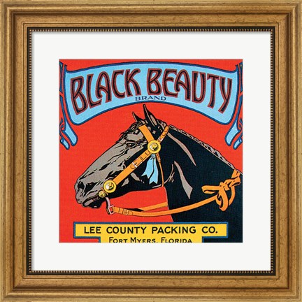 Framed Black Beauty Print
