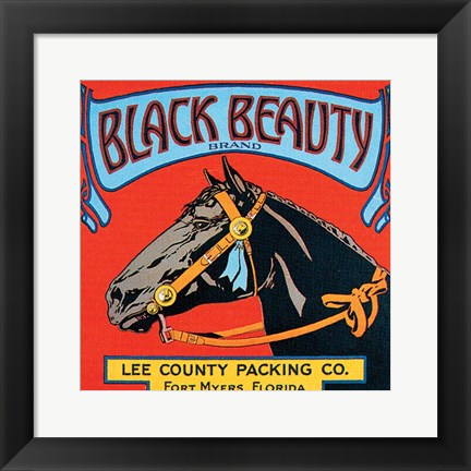 Framed Black Beauty Print