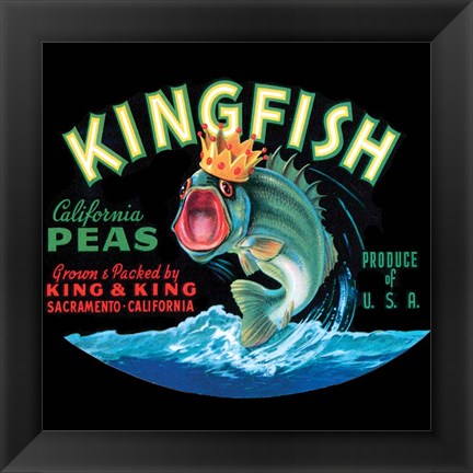 Framed Kingfish Print