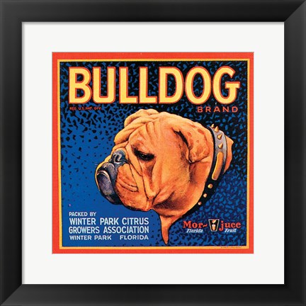 Framed Bull Dog Print