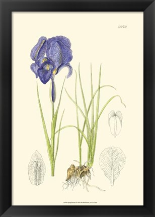 Framed Spring Bounty I Print