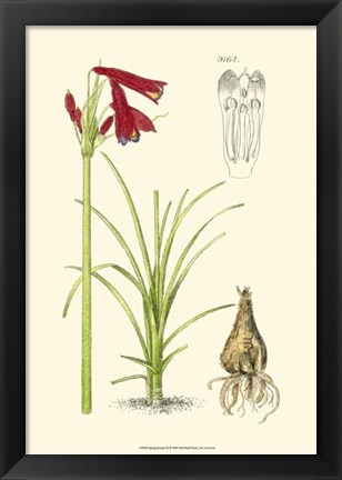 Framed Spring Bounty III Print