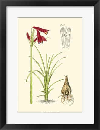 Framed Spring Bounty III Print