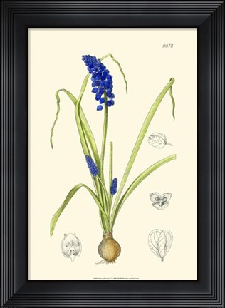 Framed Spring Bounty IV Print