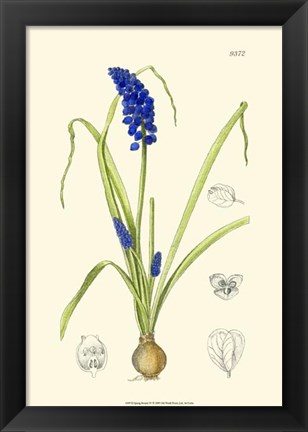 Framed Spring Bounty IV Print