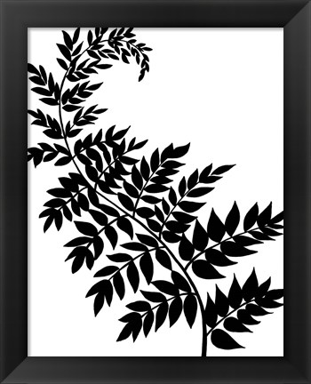 Framed Leaf Silhouette III Print