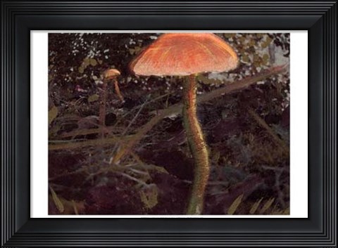 Framed Forest Floor I Print