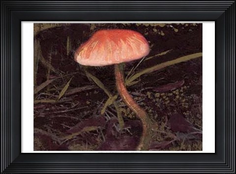 Framed Forest Floor II Print