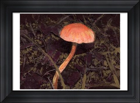 Framed Forest Floor III Print