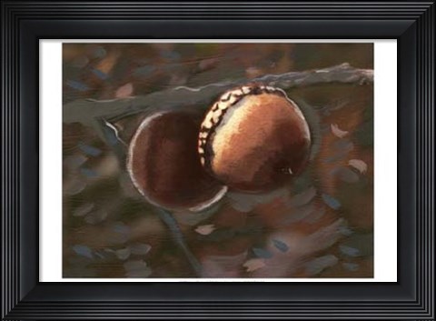 Framed Quercus Palustris I Print