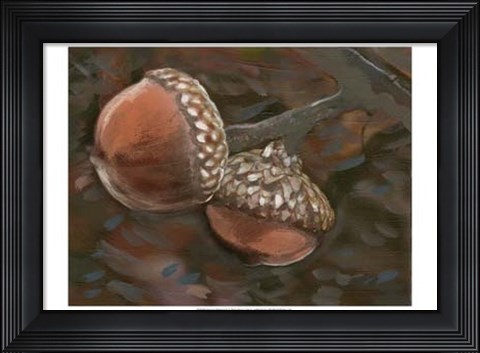 Framed Quercus Palustris II Print