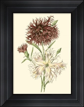 Framed Blushing Blossoms IV Print