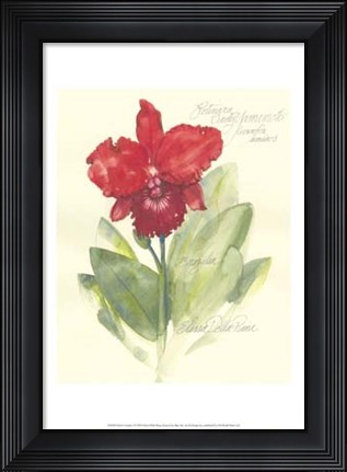 Framed Elissa&#39;s Garden I Print