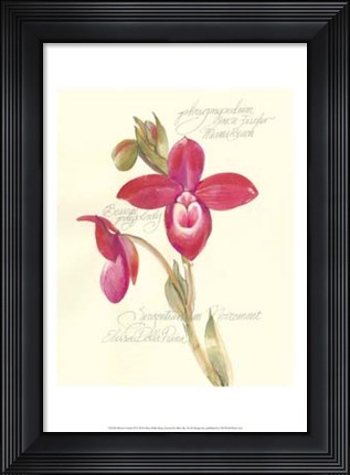 Framed Elissa&#39;s Garden II Print