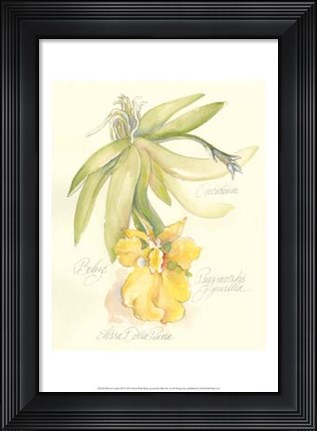 Framed Elissa&#39;s Garden III Print