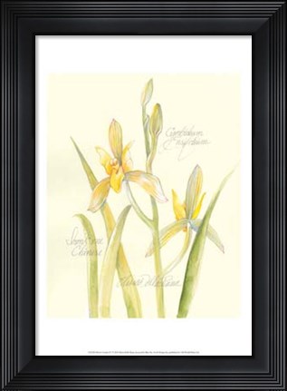 Framed Elissa&#39;s Garden IV Print