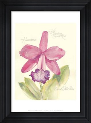 Framed Elissa&#39;s Garden V Print