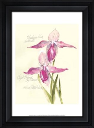 Framed Elissa&#39;s Garden VI Print