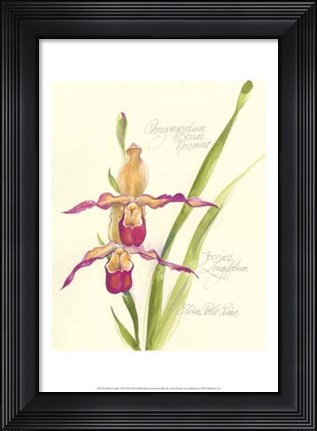 Framed Elissa&#39;s Garden VII Print