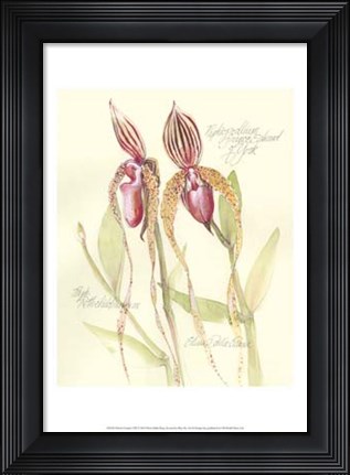 Framed Elissa&#39;s Garden VIII Print