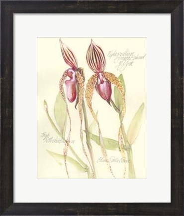 Framed Elissa&#39;s Garden VIII Print