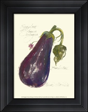 Framed Eggplant Solanum Melongena Print